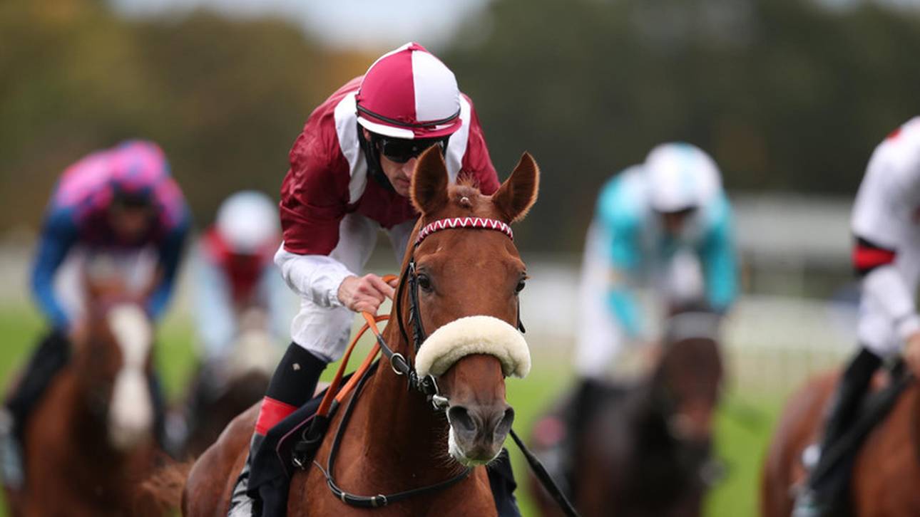 Wonderful Moon gewinnt wieder