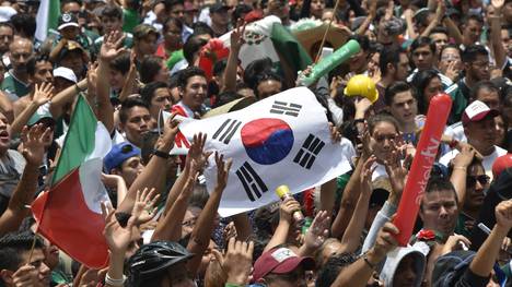 Schon während des Spiels feierten die mexikanischen Fans mit einer Südkorea-Flagge