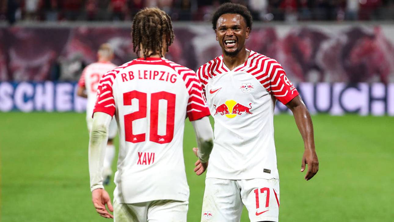 Die Bundesliga-Transfers des Sommers