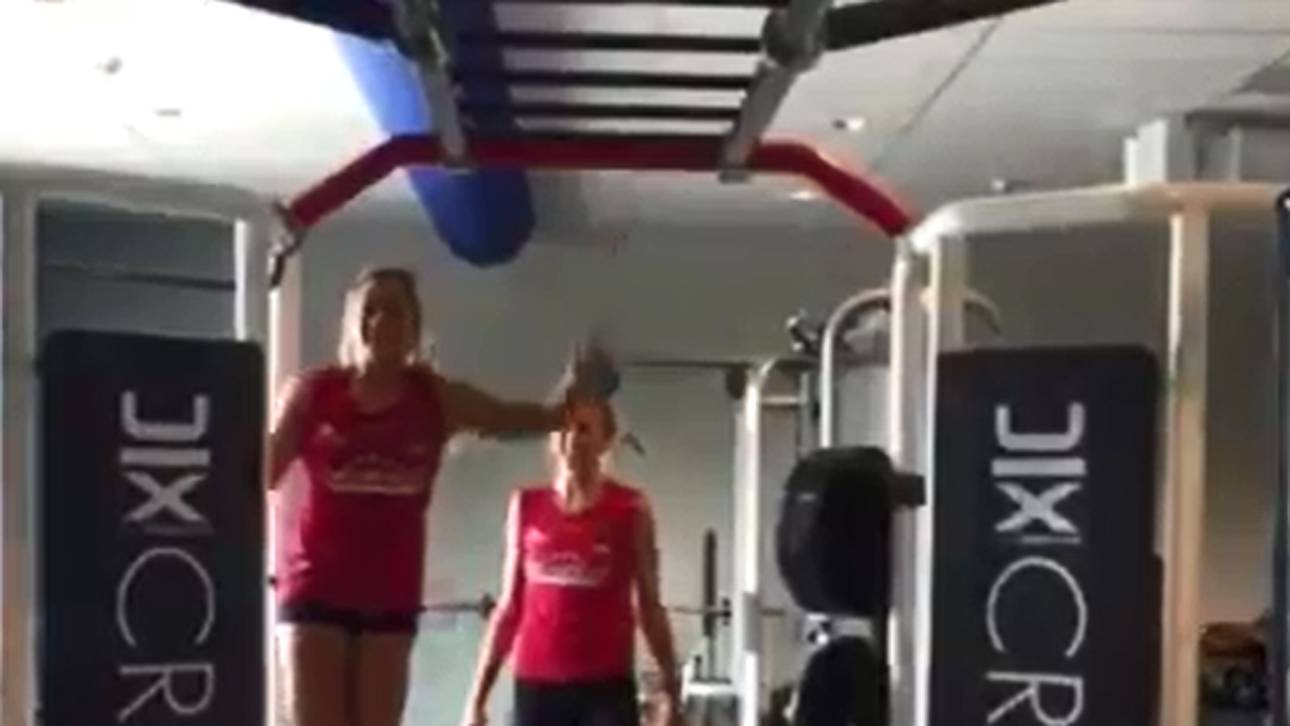 Schmetterlinge stählen sich für EM