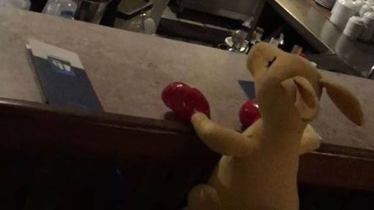 Schwedinnen kidnappen Maskottchen