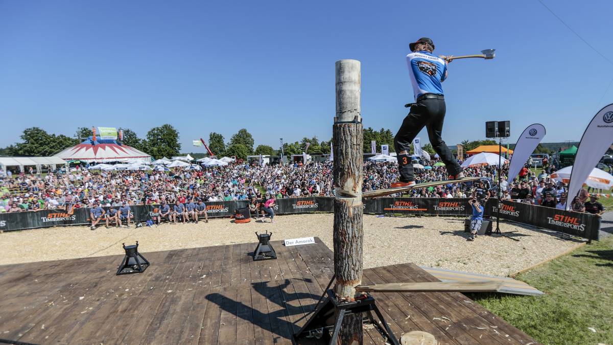 SPRINGBOARD: Nach dem Startschuss des Schiedsrichters schlägt der Sportler eine erste, ca. 10 cm tiefe Tasche in Schulterhöhe in den Stamm. In dieses steckt er die Spitze seines ersten Springboards. Der Athlet steigt auf das erste Springboard und schlägt von dort eine zweite Kerbe in den Stamm