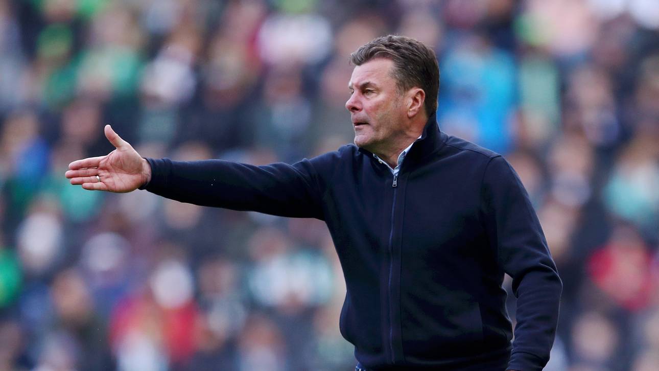 Nur ein Jahr Vertrag für Hecking