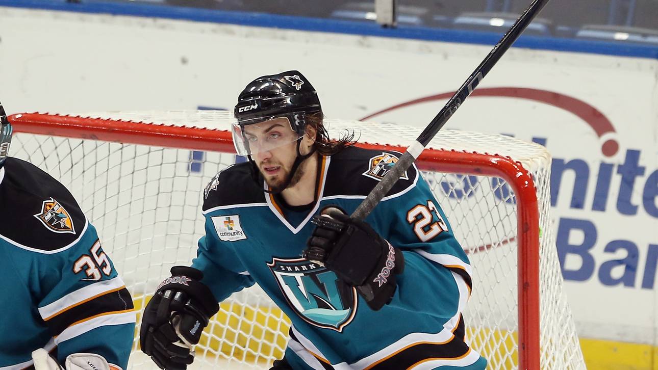 ERC Ingolstadt holt Kanadier