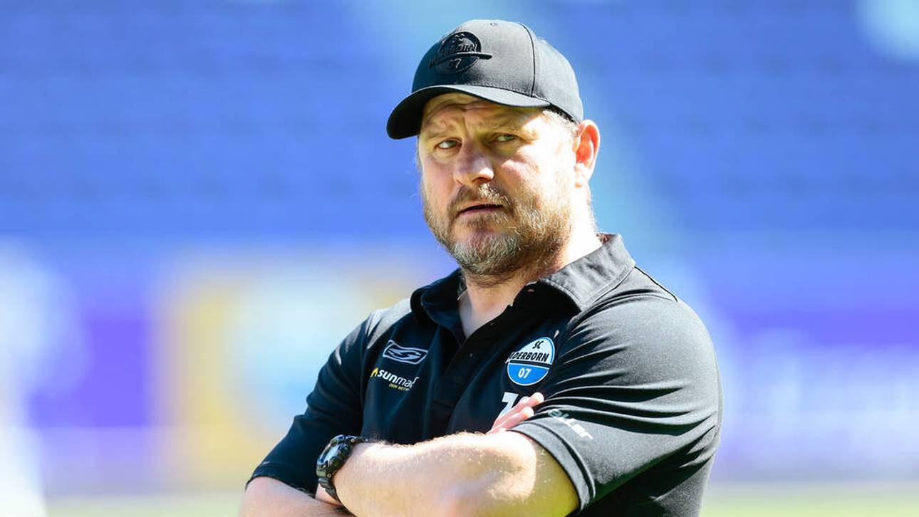 Kontakt zu Schalke? Baumgart spricht