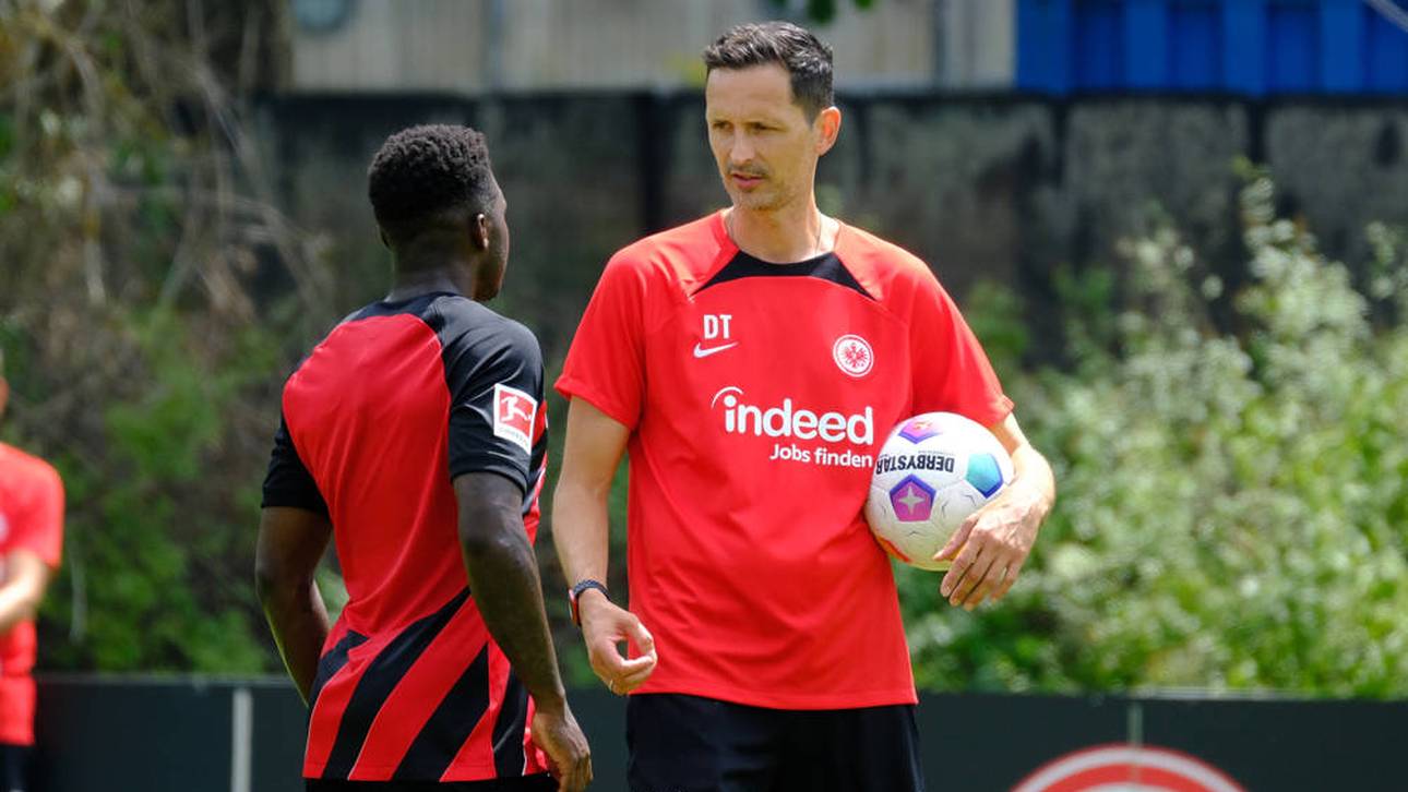 Diese Talente muss Toppmöller formen