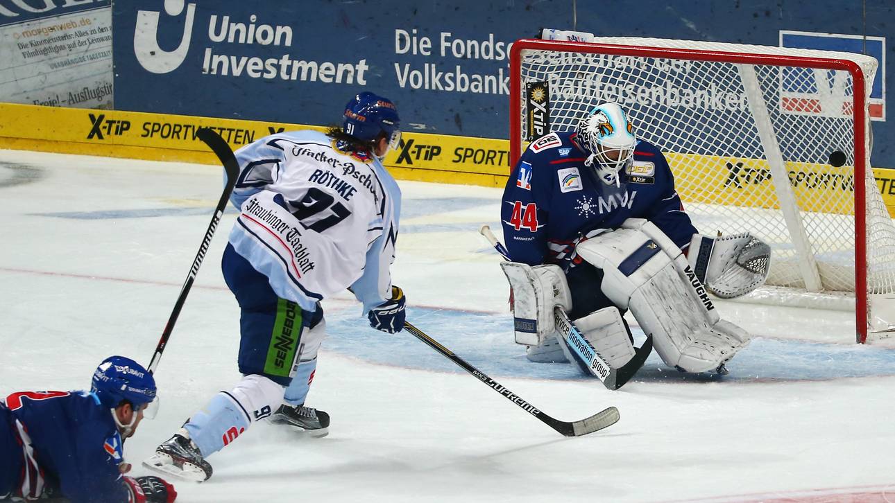 Straubing Tigers holen Nicholls
