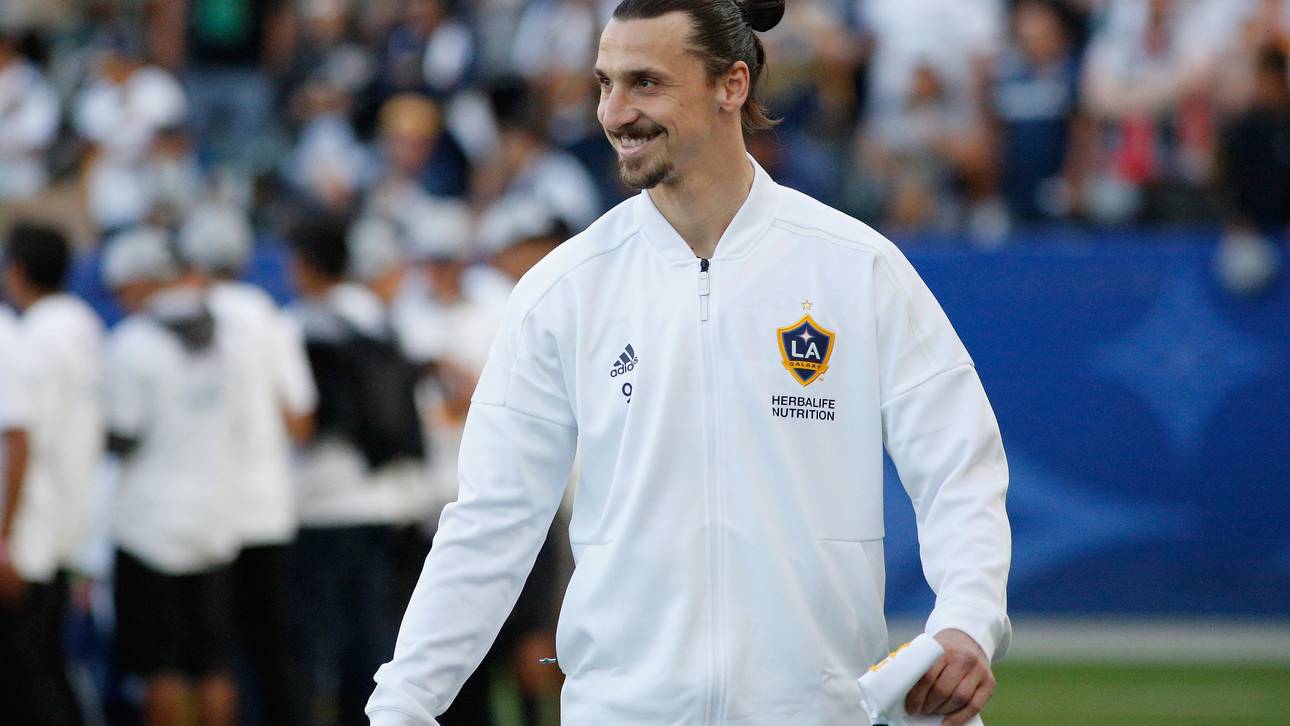 Ibrahimovic glaubt an DFB-Elf