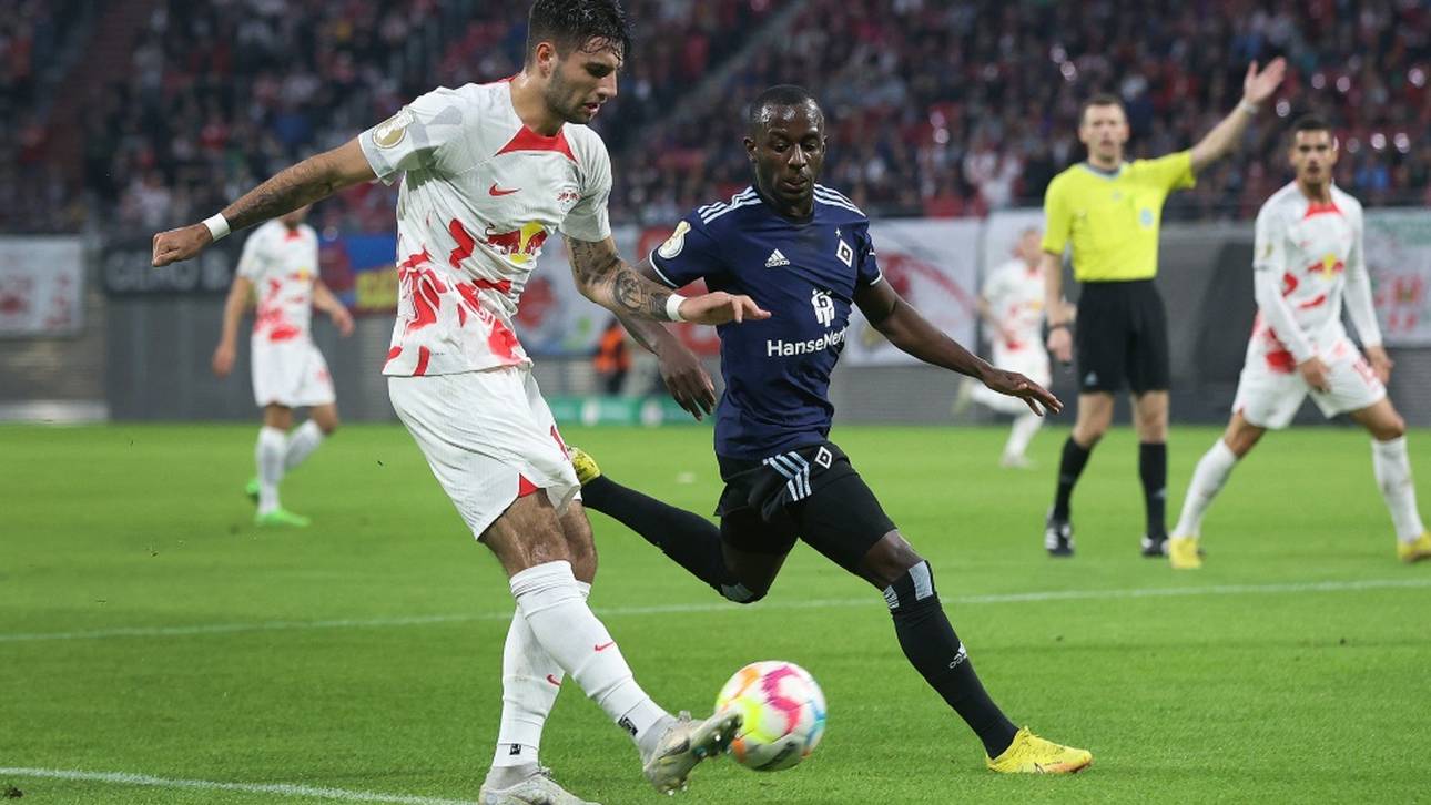 „Empfindliche Geldstrafen“ für HSV-Profis