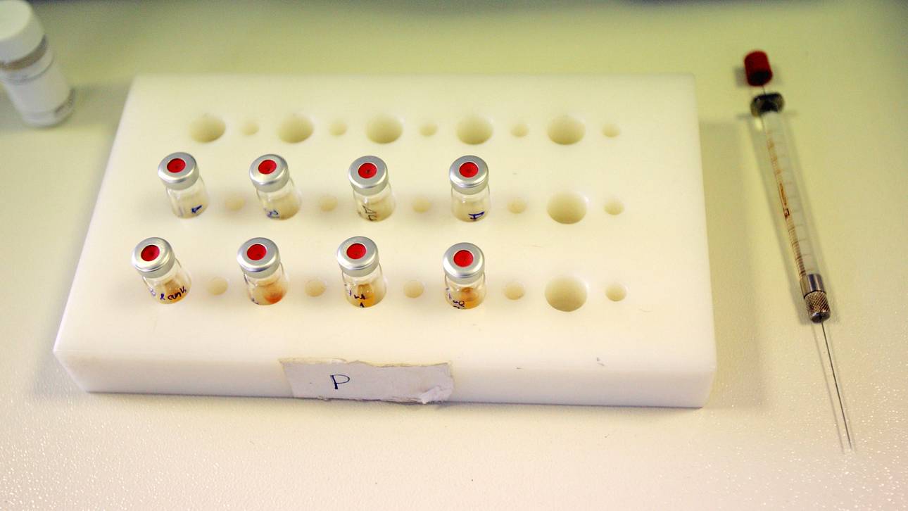 Paoli kritisiert Universität Freiburg