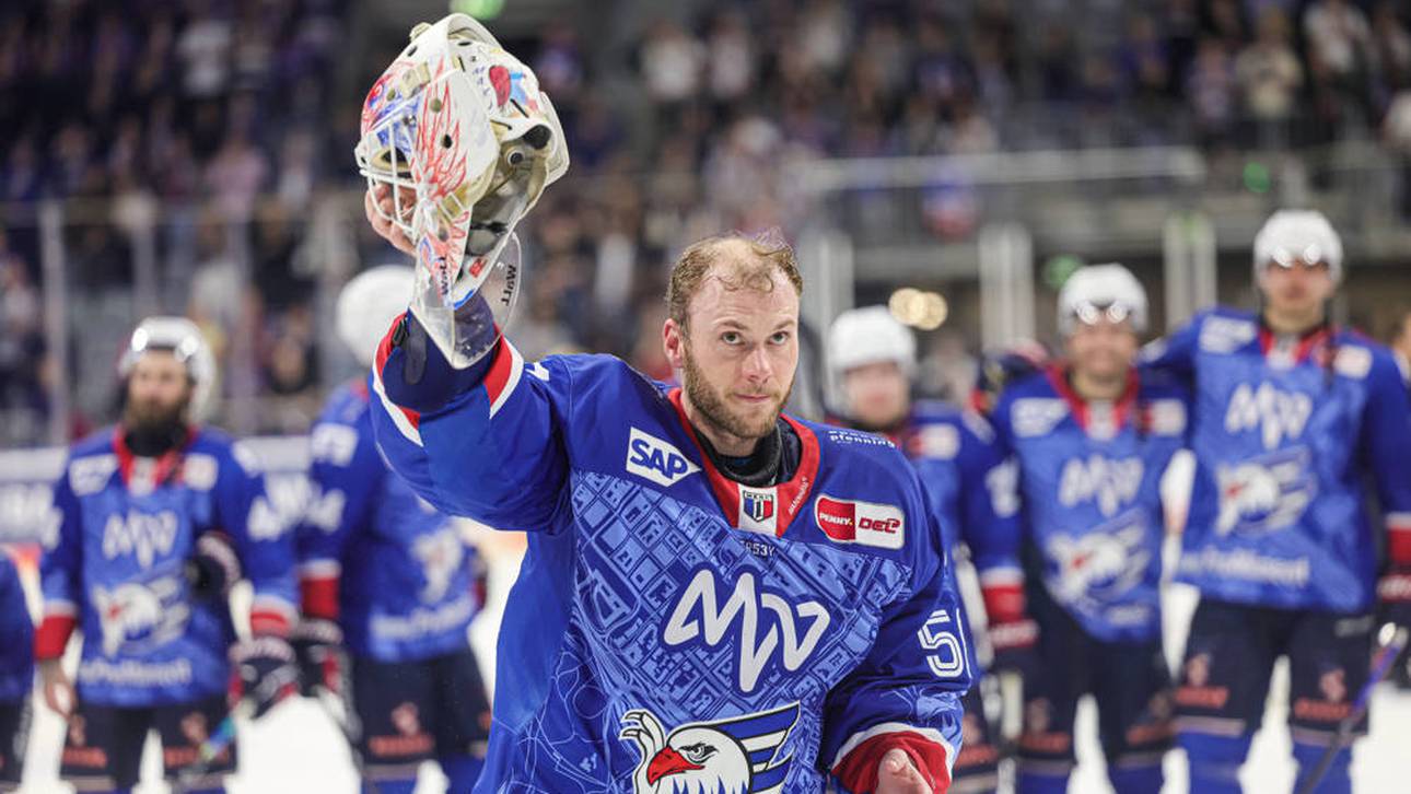 Adler-Optimismus vor Eisbären-Fluch