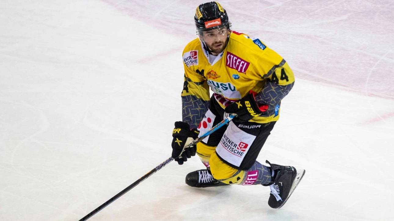 Eisbären rüsten auf