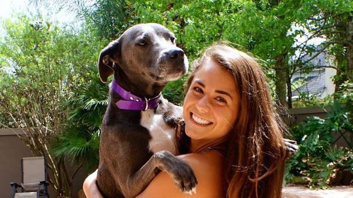 und zeigt sich tierlieb. Cook und das Turmspringen sind definitiv einen Blick wert