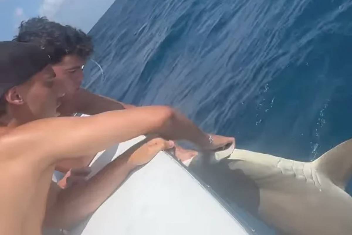 Joao Felix postet auf Instagram Fotos und Videos von einem Angelausflug mit seinen Kumpels. Unter dem Beitrag laufen dann allerdings zahlreiche User Sturm - aus gutem Grund.