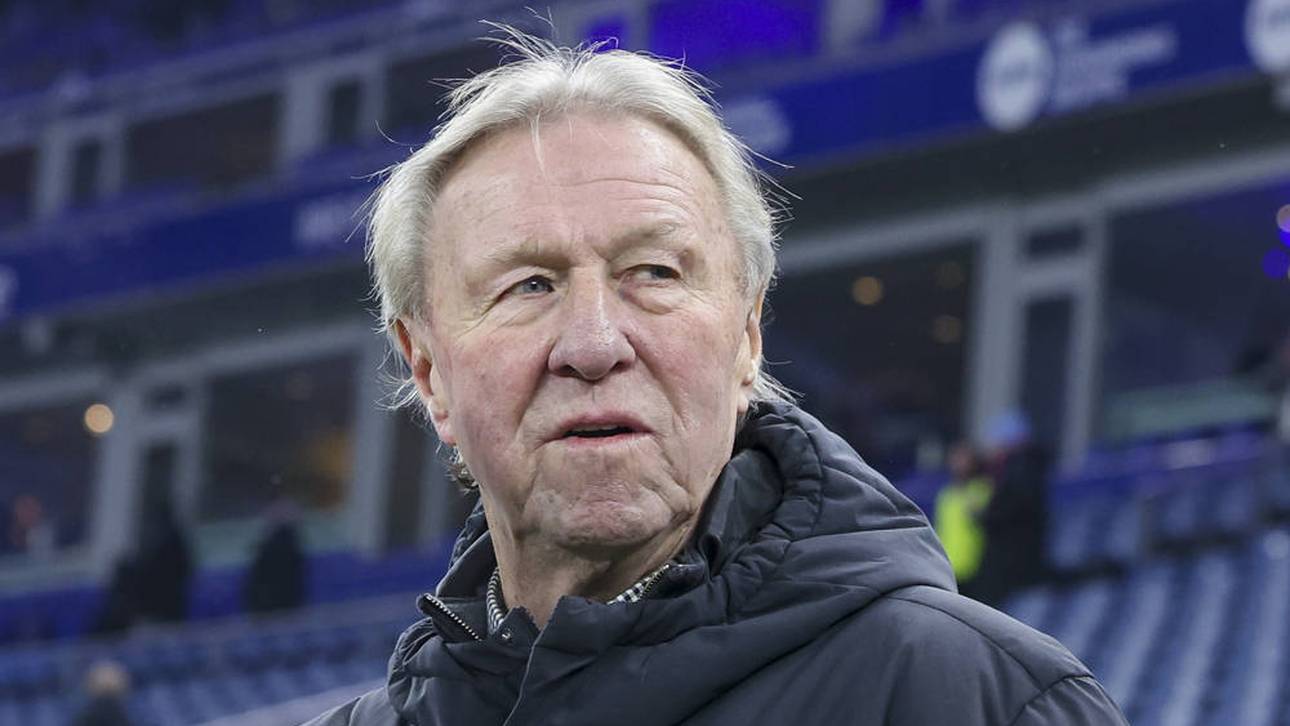 Kompany? „Das kann er nahezu perfekt“