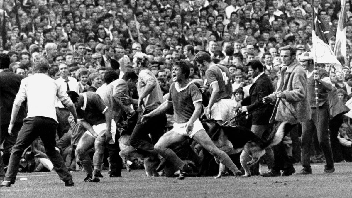 HUNDEBISS: Im September 1969 stürmen beim Revierderby Schalke-Fans nach dem 1:0 ihrer Mannschaft das Spielfeld. Daraufhin lassen die Dortmunder Ordner ihre Hunde von der Leine