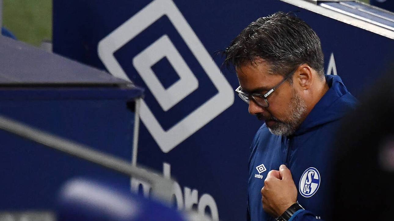 S04: Wagner vor Aus, Wilmots Favorit