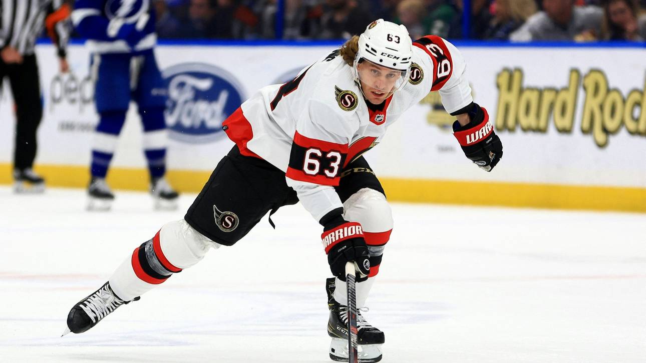 Mannheim holt ehemaligen NHL-Star