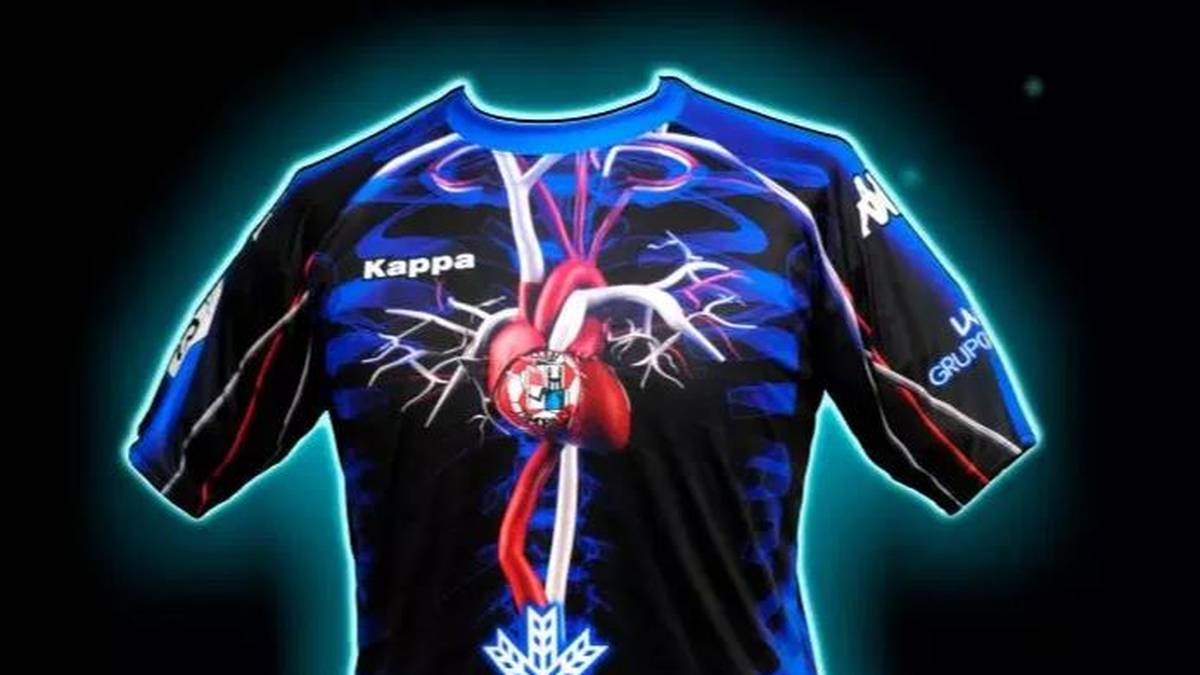 Auf der Rückseite findet sich noch eine Botschaft: "Das Blut, die rote Flüssigkeit, die das Leben durch unseren Körper transportiert und vom Herzen aus unsere Gefühle und Emotionen ernährt." Der genaue Hintergrund des Trikots ist unklar