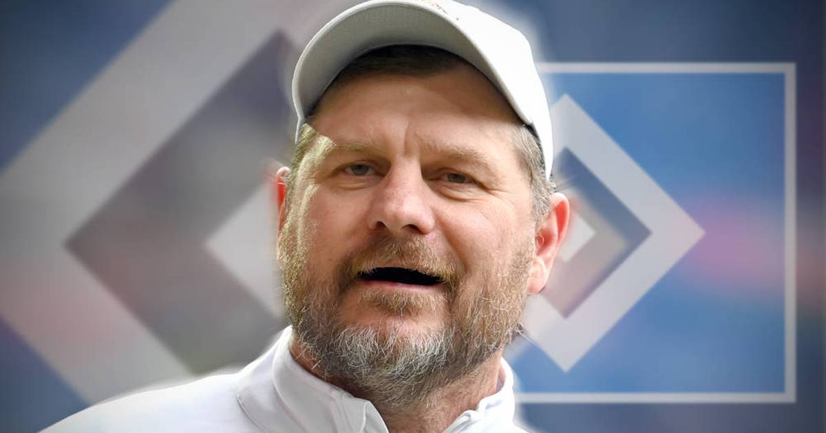 2-bundesliga-fix-steffen-baumgart-wird-neuer-hsv-trainer