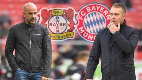 Bayer Leverkusen und der FC Bayern stehen sich im letzten Topspiel des Jahres gegenüber
