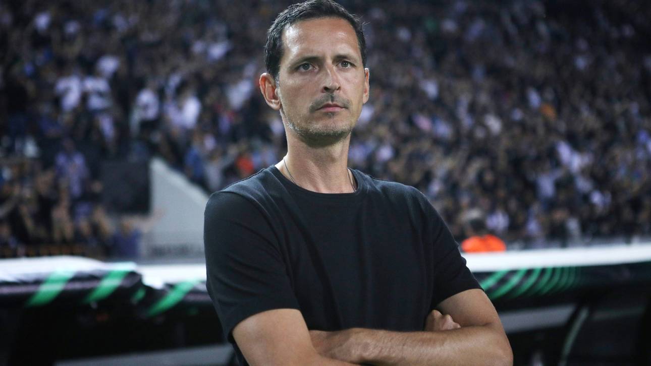 Toppmöller schwärmt von Stuttgart