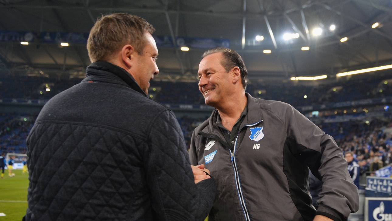 Stevens: Schalke-Rückkehr möglich