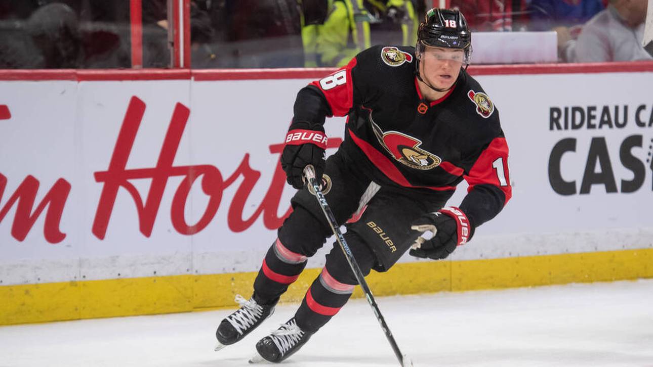 Deutschlands neuer NHL-Star