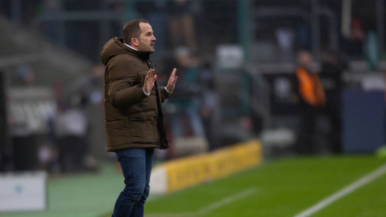 Schiri-Schelte: Keine Strafe für Baum