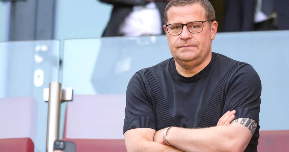 FC Bayern: Eberl hints at transfer idea that fell through