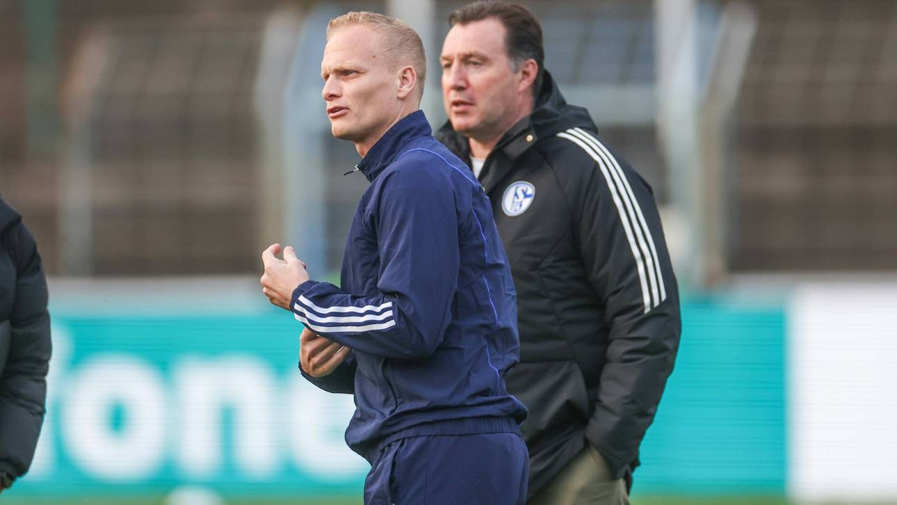 Schalke mit Transfer-Dreierpack