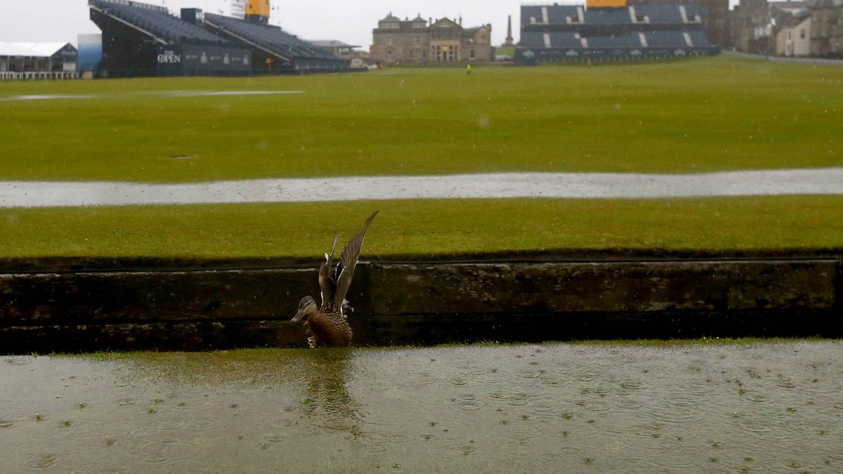 Für diese Ente werden die altehrwürdigen Links zum Plantschbecken