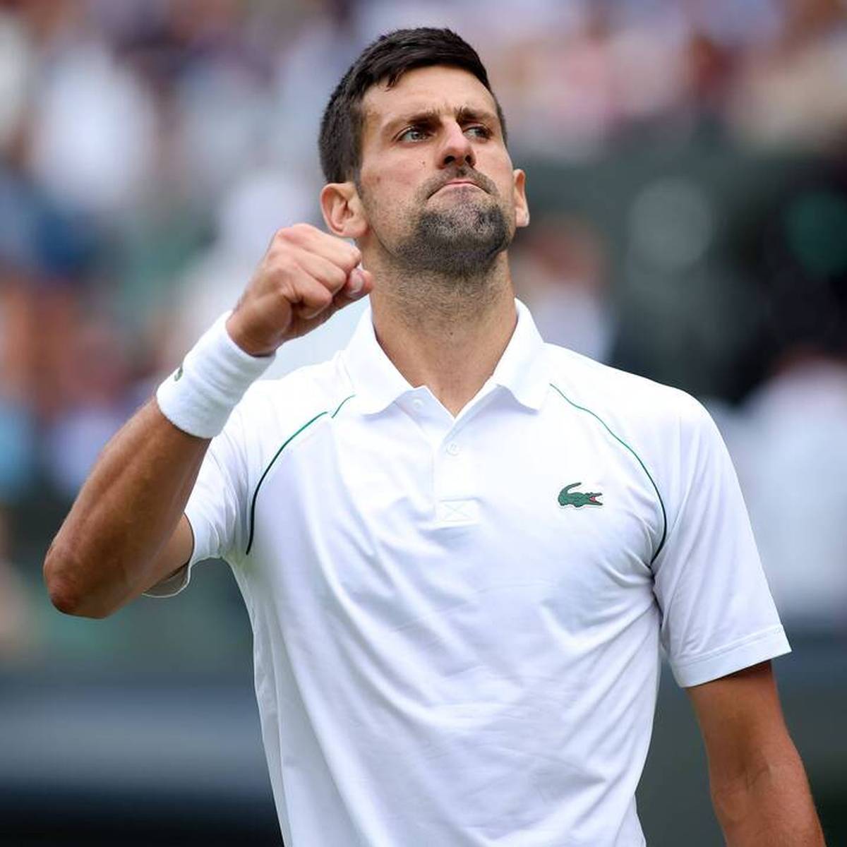 Wimbledon 2022 heute Novak Djokovic HEUTE LIVE im TV, Stream, Ticker