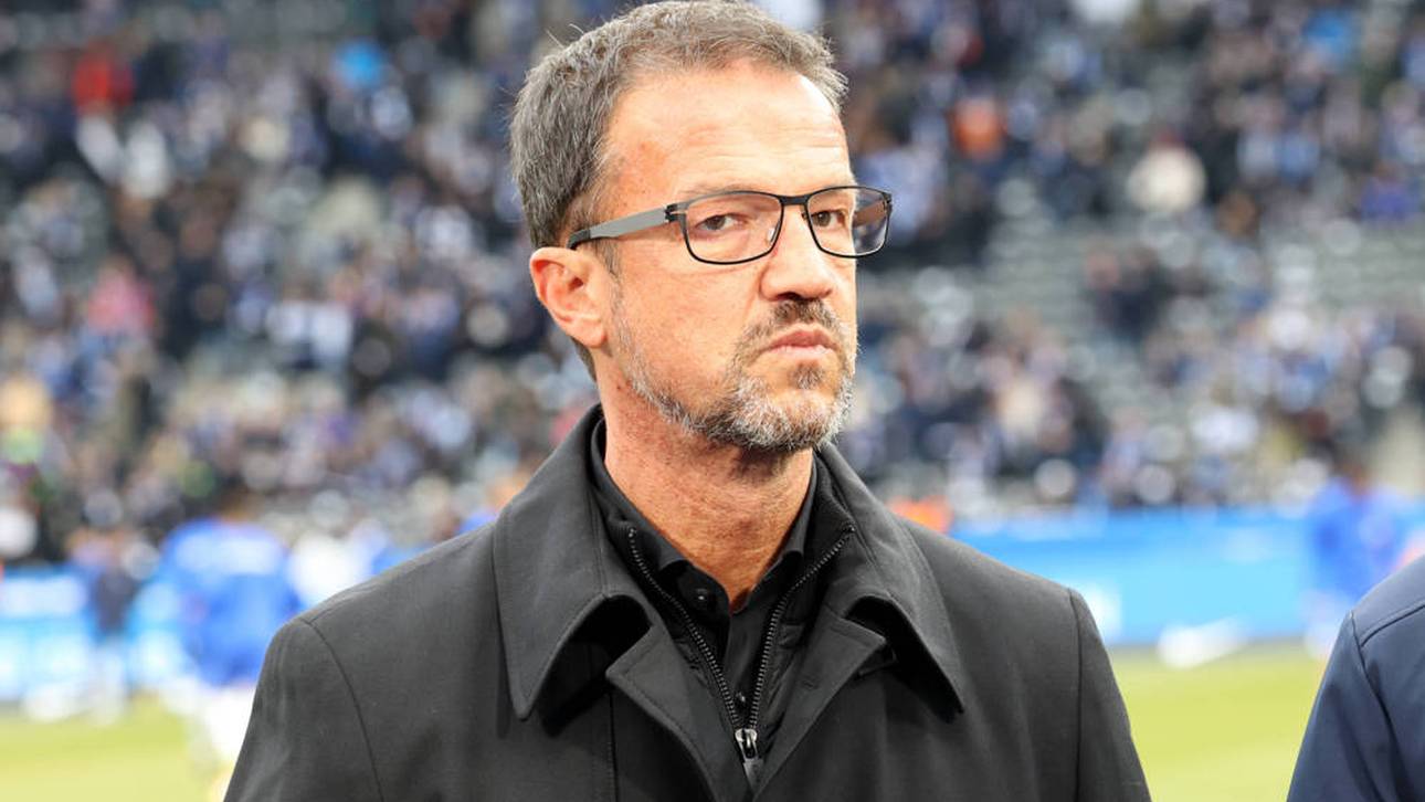 Bobic-Comeback in der Bundesliga?