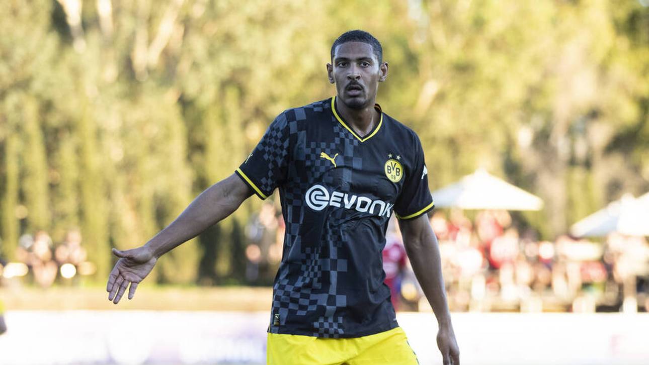 Nicht nur Haller? Auch Süle auf Bank