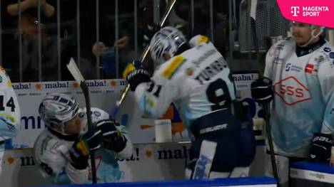 Adler Mannheim - Dresdner Eislöwen: Tore und Highlights | PENNY DEL