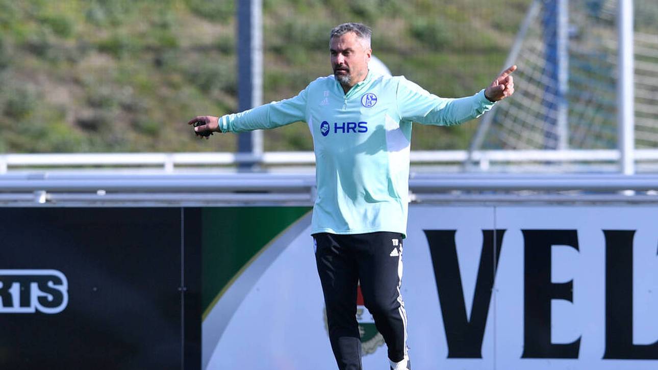 Schafft Reis mit Schalke Klassenerhalt?