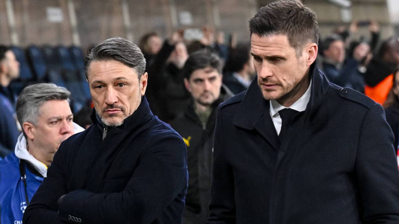 Das BVB-Aus hat gravierende Folgen