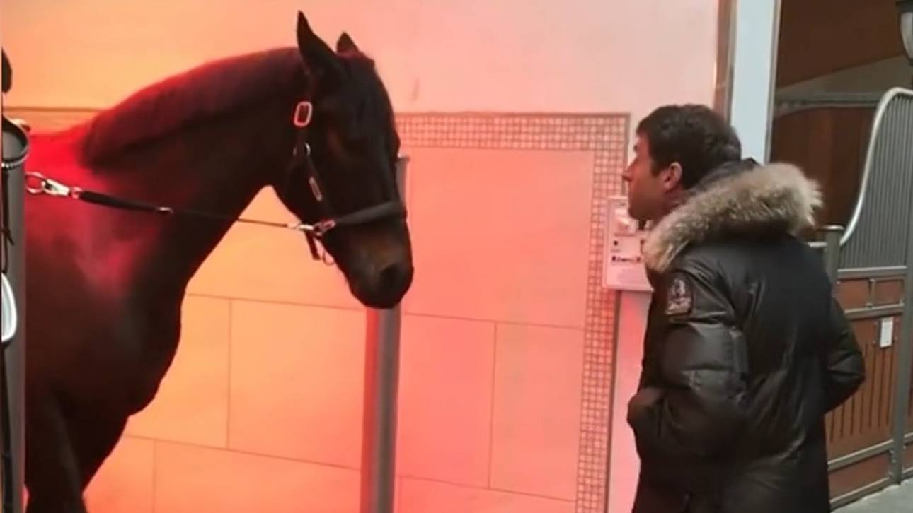 Irre TV-Panne mit Thomas Müller