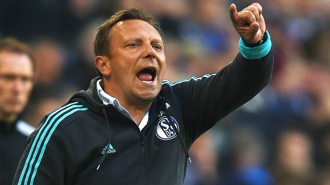 Von wegen Büskens: Breitenreiter bleibt