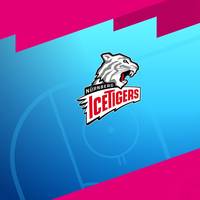 Nürnberg Ice Tigers - Düsseldorfer EG (Highlights)