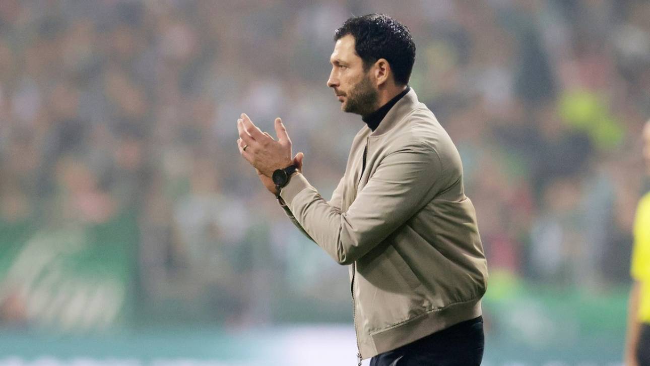 Schwarz sieht Herthas Entwicklung positiv