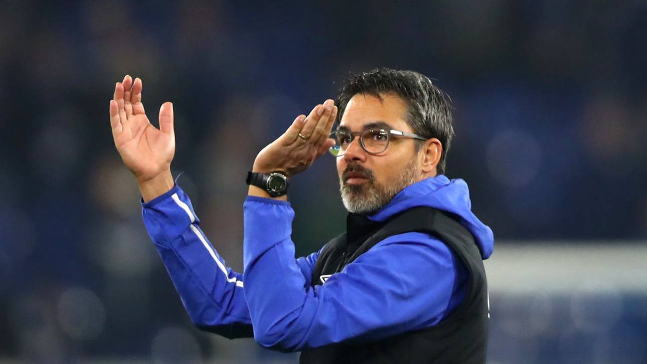 Wagner ein Glücksfall für Schalke