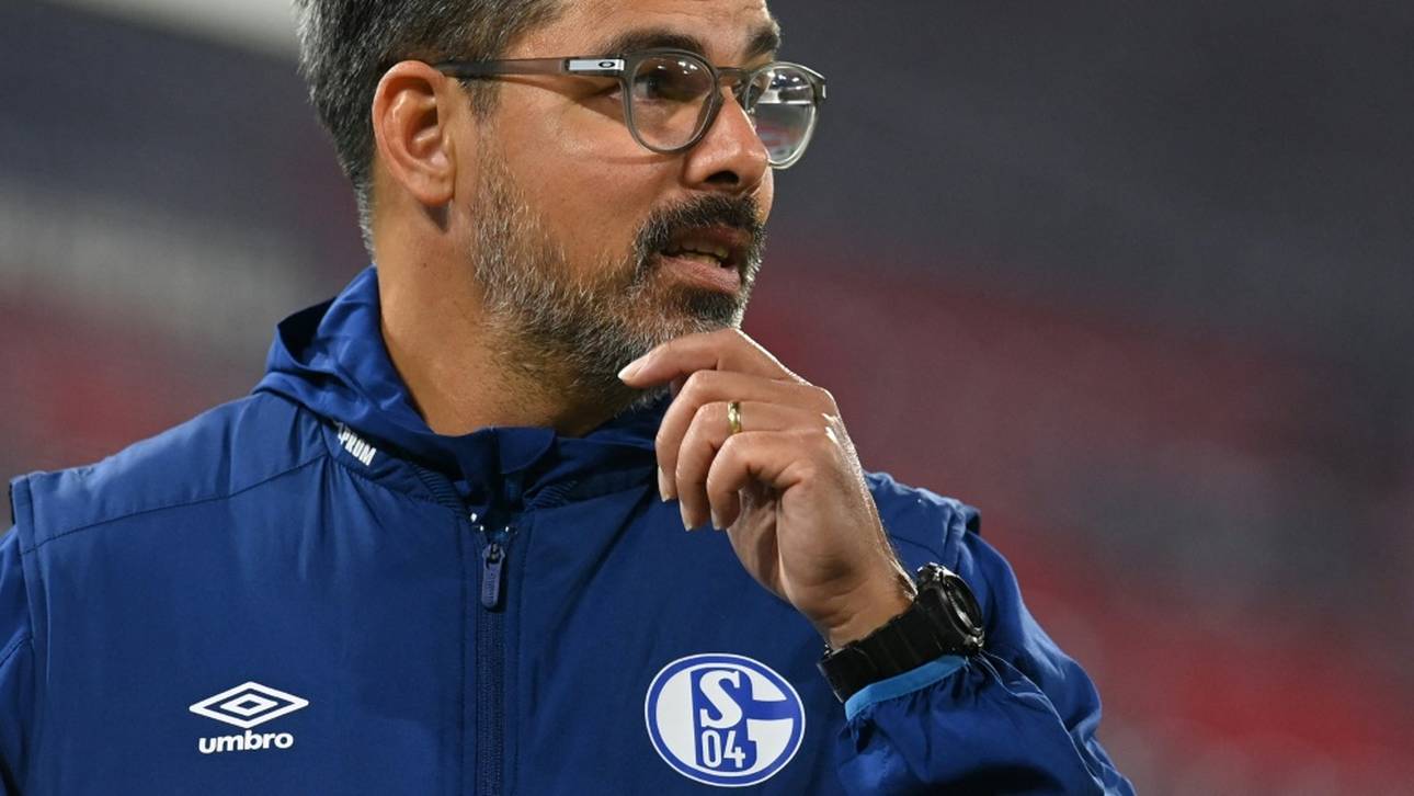 Ex-Schalker Wagner wird Seoane-Nachfolger in Bern