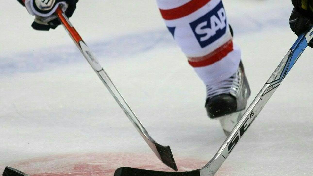 Mannheim holt Verteidiger Melart