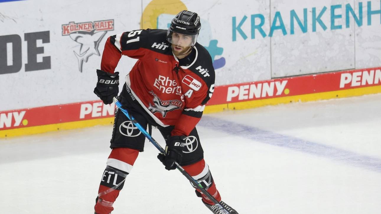 Haie beenden Pleitenserie