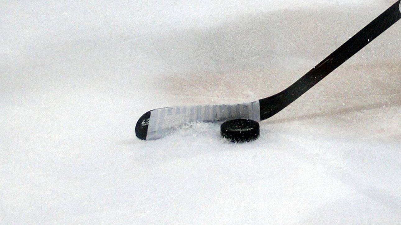 DEL: Panther-Torhüter Roy positiv getestet