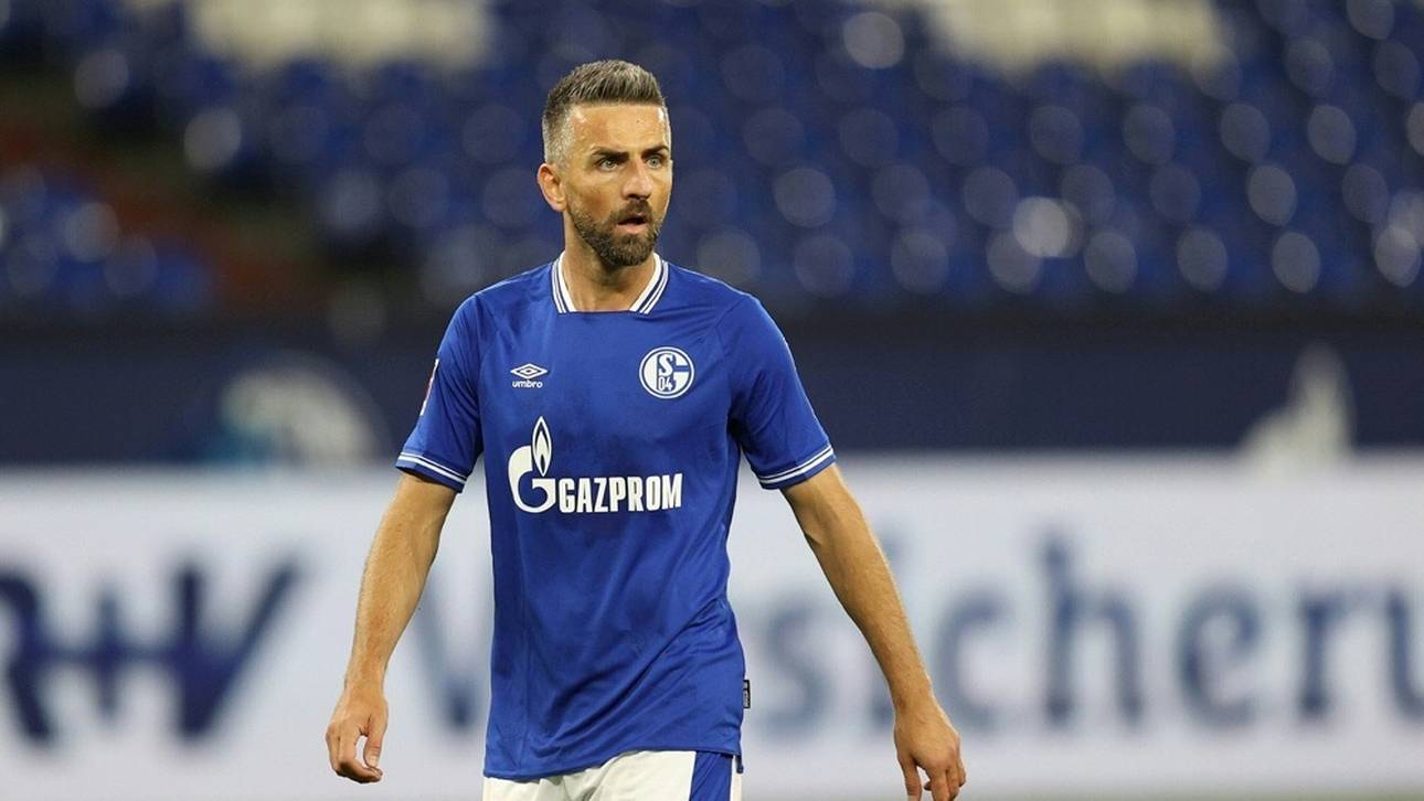 Schalke löst Vertrag mit Ibisevic – Harit und Bentaleb suspendiert