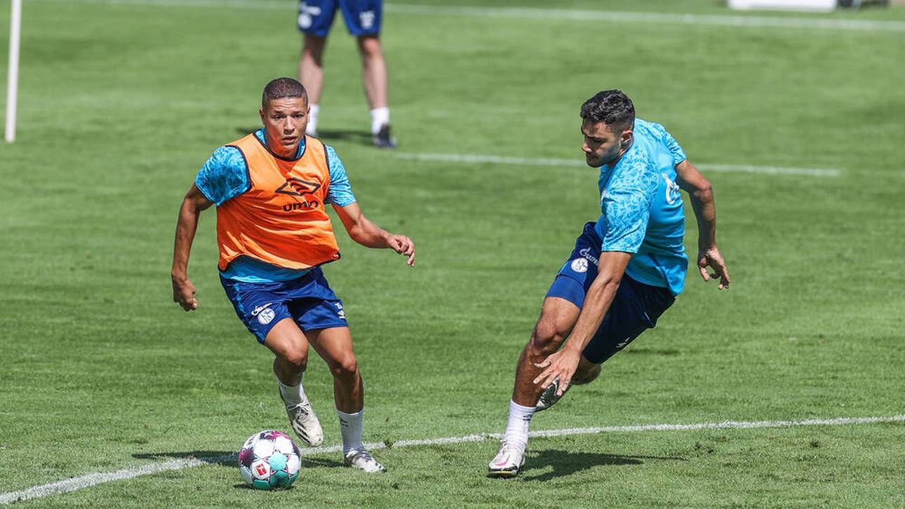 Schalke bestellt Duo ins Training ein