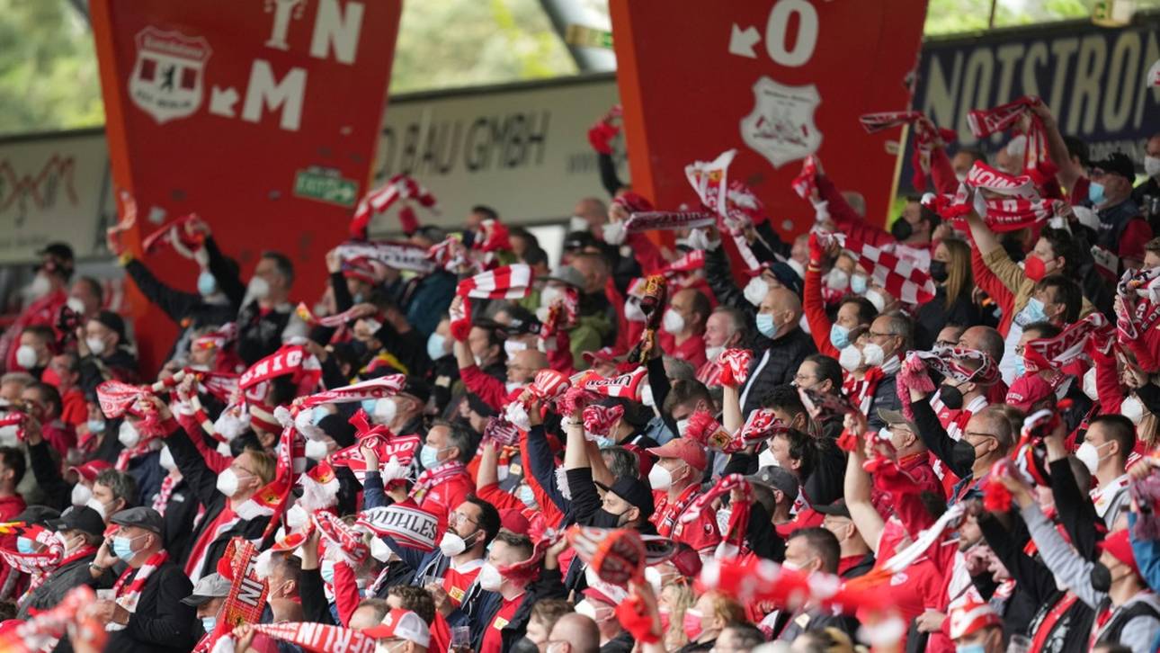 FanQ-Studie: Fans wollen mitgliedergeführte Vereine